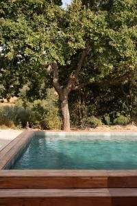 Casa Natura