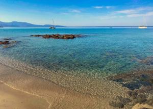 Solacargese-Les Chemins de Sonia-Terrasse face à la mer-Cargèse la Grecque