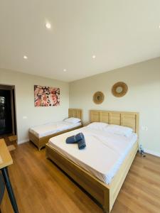 Apartament Trian