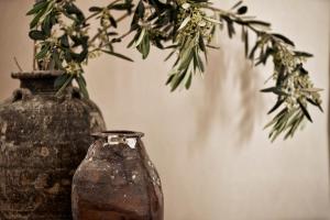 Luxury Naxos Villas Honeymoon Villa Air Conditioning Private Pool