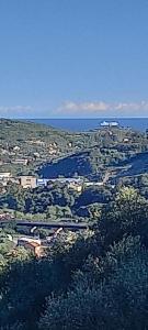 Casa limoni