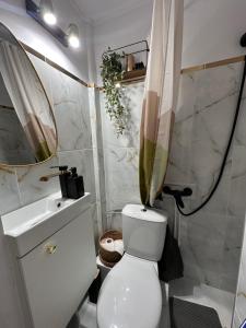 Studio cochet, aproape de centru