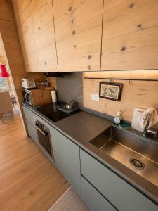 Belvedere Mountain Chalet