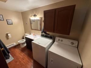 Moose Suite