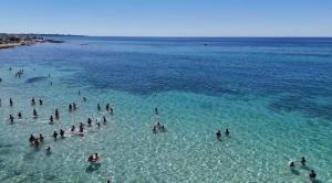 BuganVilla Villa sul mare indipendente con parcheggio privato