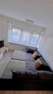 Ferienwohnung Sonnhalde