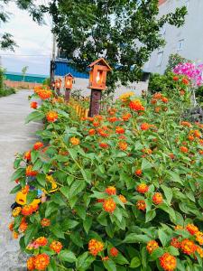 LITTLE TRANG AN HOMESTAY