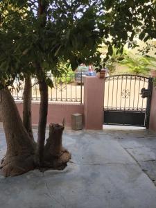 Momo house Badesi spacious Bilo with veranda and pool
