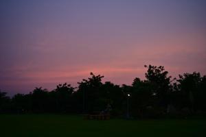 Abbots Farm Stay Faridabad - 2 Acres, 10-15 People, Outdoor Pool, 5 Bedrooms, 6 Bathrooms, Dining, Drawing, Kitchen, Gazebo, Barbeque, Bonfire
