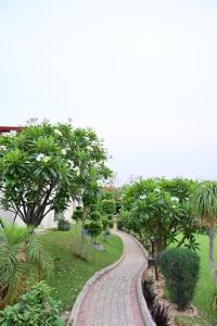 Abbots Farm Stay Faridabad - 2 Acres, 10-15 People, Outdoor Pool, 5 Bedrooms, 6 Bathrooms, Dining, Drawing, Kitchen, Gazebo, Barbeque, Bonfire