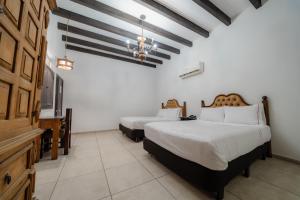Hotel Cosmos Don Carlos