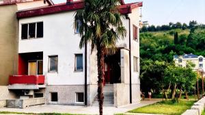 Kiwi house