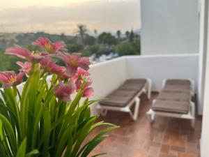 Bahía de Estepona