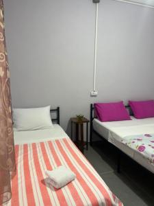 Lori Hostel - The HouseGreen and Blue Meet