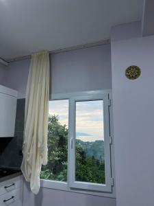 Lori Hostel - The HouseGreen and Blue Meet