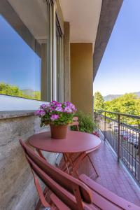 Bright Apartment - Steps from the Old Town