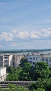 Apartment Danubio