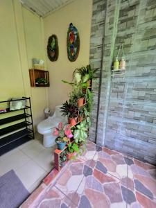 Agua Azul Nature-House
