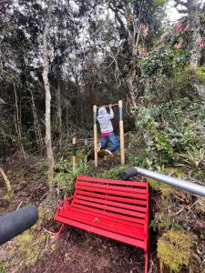 Mirador Bosque Gran Torino Neusa