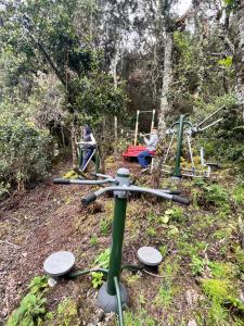 Mirador Bosque Gran Torino Neusa