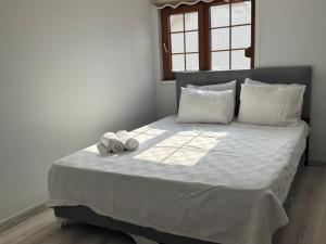 Sadev Turizm Deluxe Villa with Private Pool