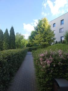 Apartament Montwiłłowska 45m2 Osiedle Wilno