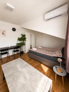 Spacious apartment close to Vienna in a calm area