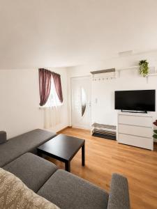 Spacious apartment close to Vienna in a calm area