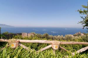 Vitamin Sea by Espresso Rentals