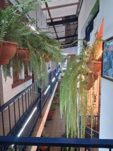 hotel kasa kamelot parque