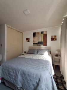 Apartamento equipado con cocina, wifi, baño l Movistar Arenas, Fantasilandia, Santiago centro