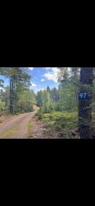Lake front cottage 5 bedrooms bright open concept