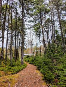 Lake front cottage 5 bedrooms bright open concept