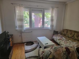 Milenkovski Apartment