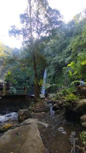 Warung Jojo and Homestay