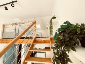 Appartement centre-ville - 4 pers. - FR-1-900-6