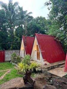 DonnRaquis Hidden Zen