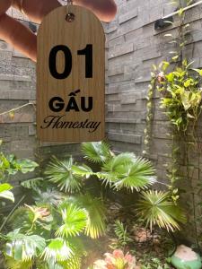 Gấu homestay
