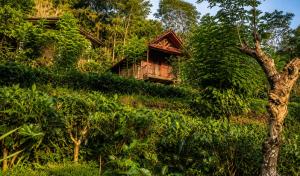 Sinharaja Forest Lodge - Deniyaya