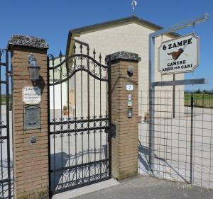 6 Zampe