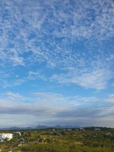 Hyacinth Golf& Sea