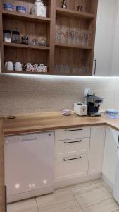 Stylish 1BR Apartment with Free Parking near City Center - Karposh