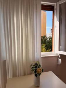 Elegant Apartment in Tirana