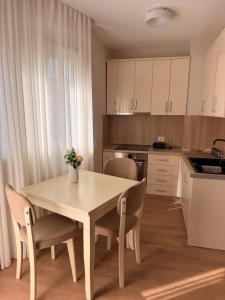 Elegant Apartment in Tirana