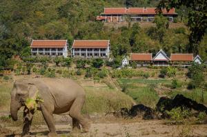 2 days Mekong cruise package with Mekong Lover Cruise from Houay Xay to Luang Prabang or Mekong cruise from Luang Prabang to Huay Xai - Thailand