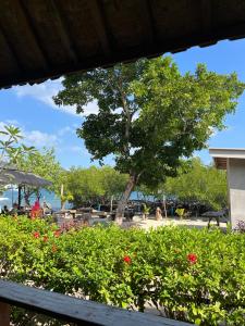 Lombok eco Lumbung