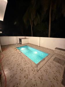 coastal coral