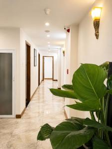 Khách sạn Quy Nhơn Center - 08 Trần Độc
