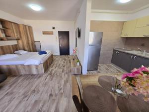 Breeze Studio Mackerel Sea View - langa plaja