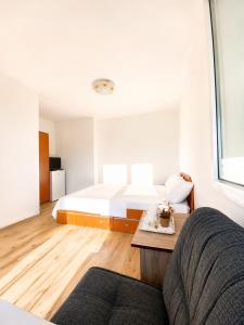 Camere de închiriat SINED